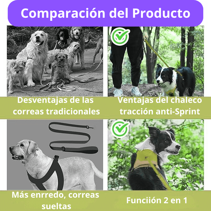 Arnés SmartWalk – Paseos sin tirones, más seguros y cómodos
