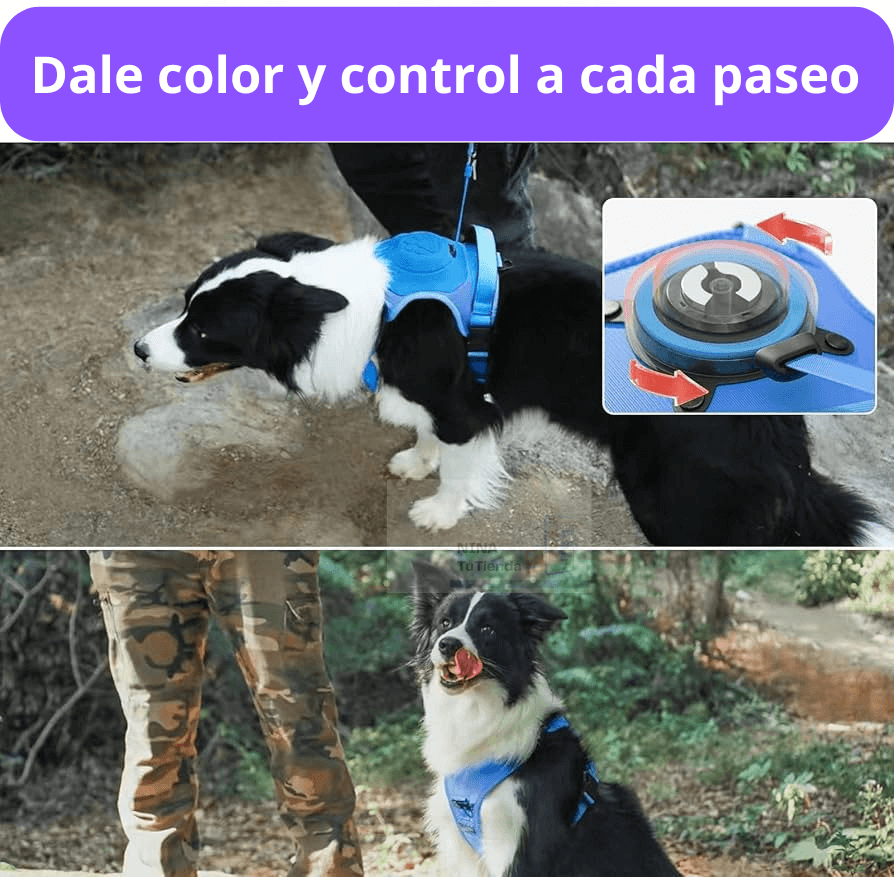 Arnés SmartWalk – Paseos sin tirones, más seguros y cómodos