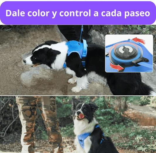Arnés SmartWalk – Paseos sin tirones, más seguros y cómodos