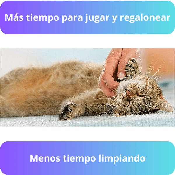 Tapete Atrapa Arena Gato Doble Capa – Mantén tu hogar limpio sin esfuerzo