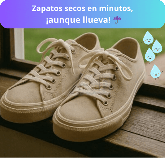 Secador Inteligente de Calzado - Protección Contra Humedad y Mal Olor